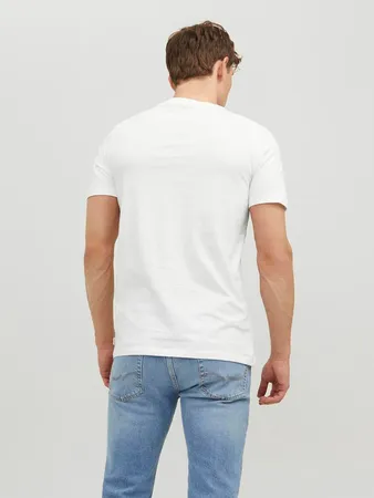 Jjeorganic Basic Tee Ss O-neck